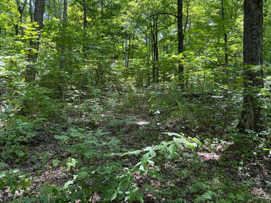 6.8 ACRES FRIENDSHIP SOUTH ROAD, GREENEVILLE, TN 37616, photo 5 of 16