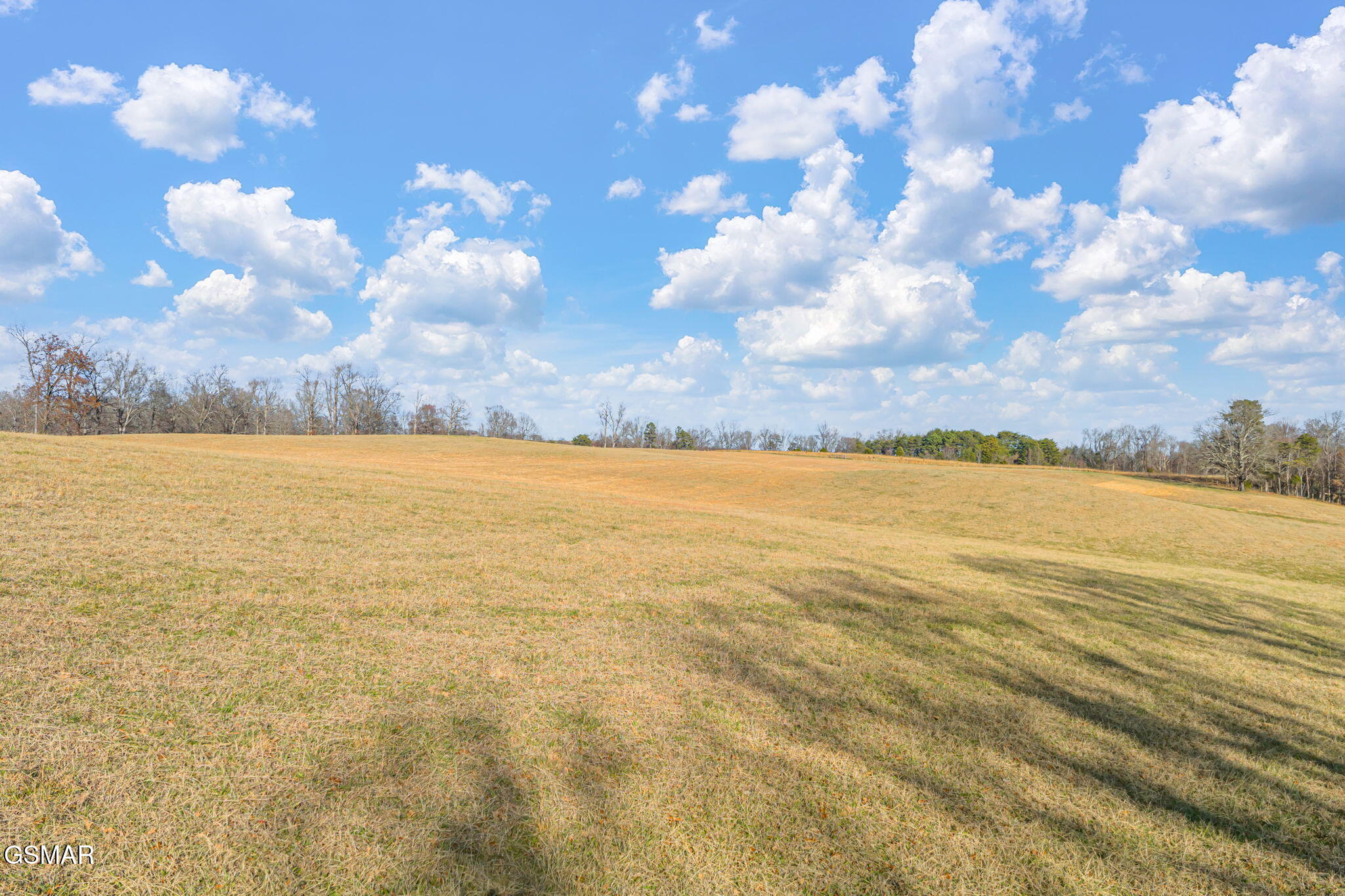 Strawberry Plains, Tennessee, 37871, United States, 3 Bedrooms Bedrooms, ,2 BathroomsBathrooms,Residential,Active,2007149