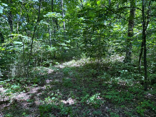 6.8 ACRES FRIENDSHIP SOUTH ROAD, GREENEVILLE, TN 37616, photo 2 of 16