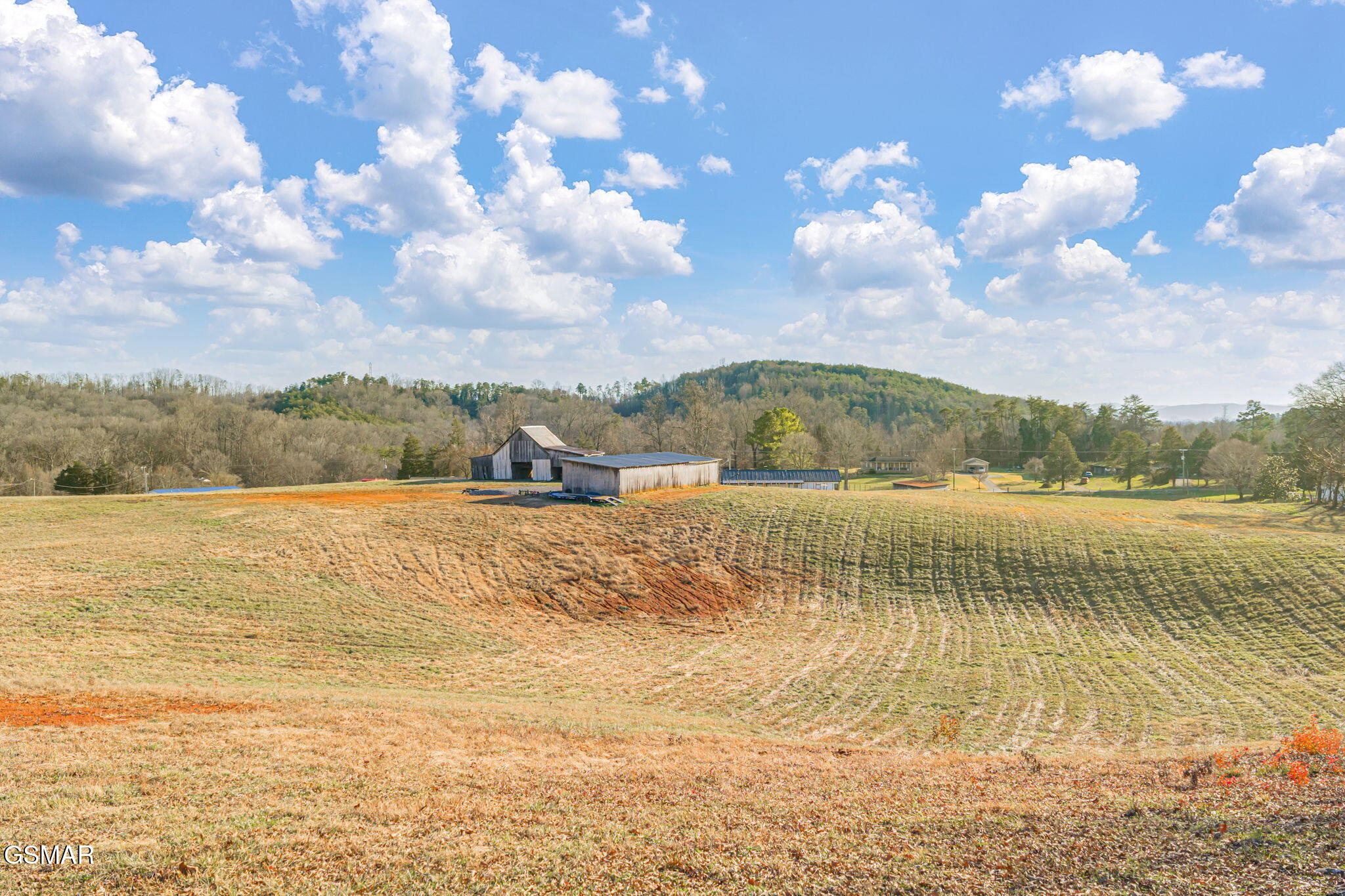 Strawberry Plains, Tennessee, 37871, United States, 3 Bedrooms Bedrooms, ,2 BathroomsBathrooms,Residential,Active,2007149