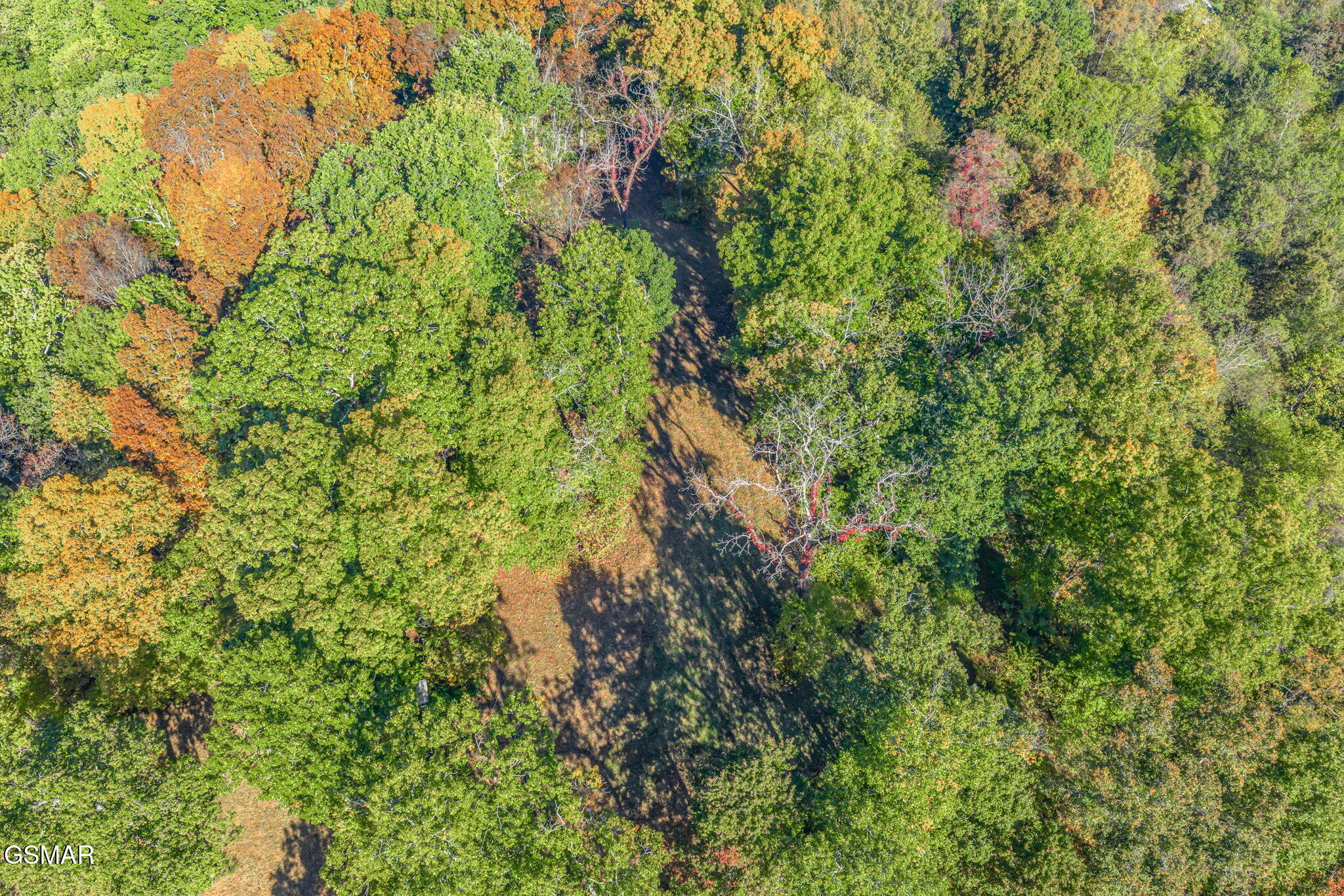 Seymour, Tennessee, 37865, United States, 2 Bedrooms Bedrooms, ,2 BathroomsBathrooms,Residential,Active,1967120