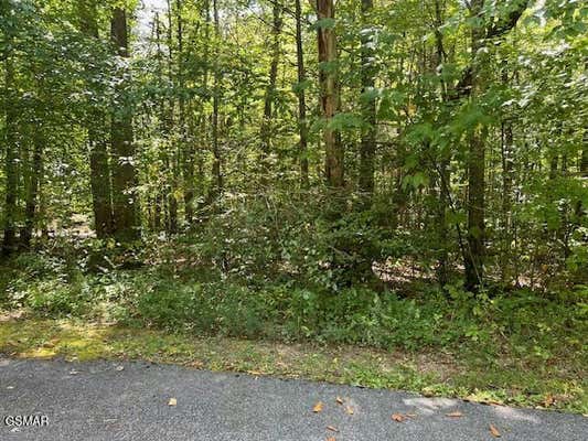 LOT 8 ARDELL WAY, COSBY, TN 37722 - Image 1