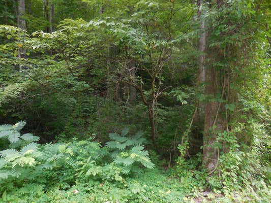 LOT 1 HIDDEN VALLEY, GATLINBURG, TN 37738, photo 3 of 4