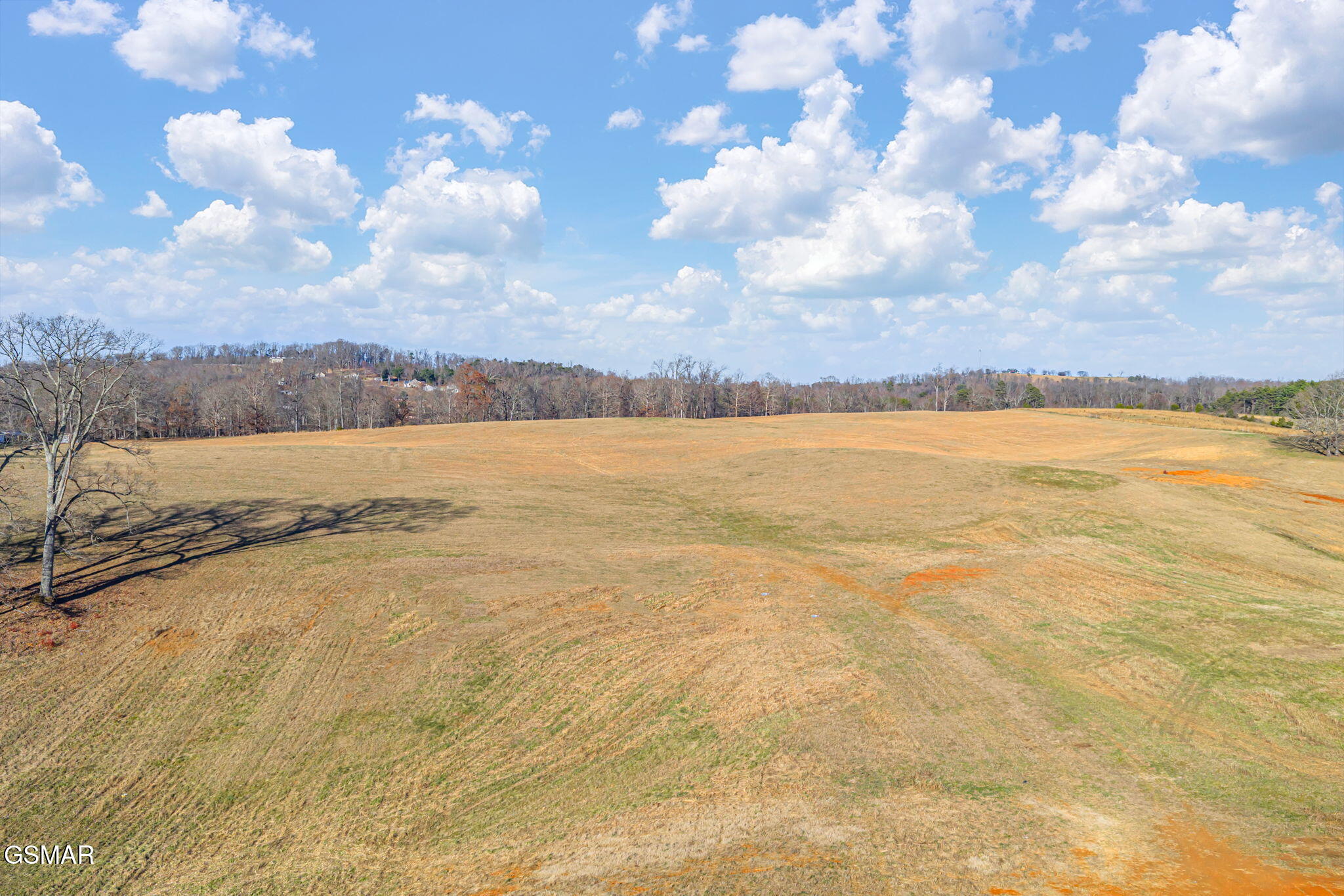 Strawberry Plains, Tennessee, 37871, United States, 3 Bedrooms Bedrooms, ,2 BathroomsBathrooms,Residential,Active,2007149