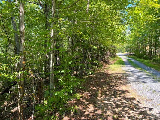 TRACT 8 FAITH MOUNTAIN WAY, HARTFORD, TN 37753, photo 2 of 24