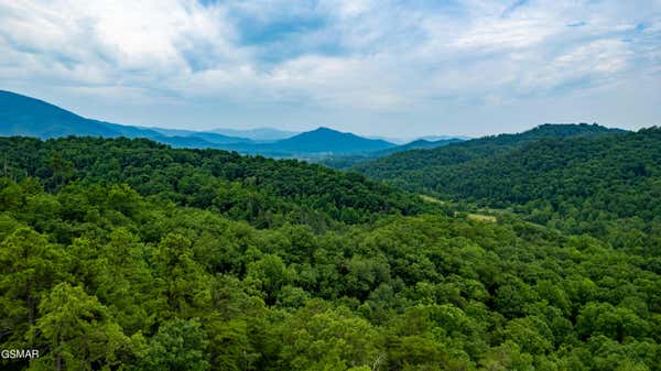 LOT 14 COVE CREEK DRIVE, SEVIERVILLE, TN 37862 - Image 1