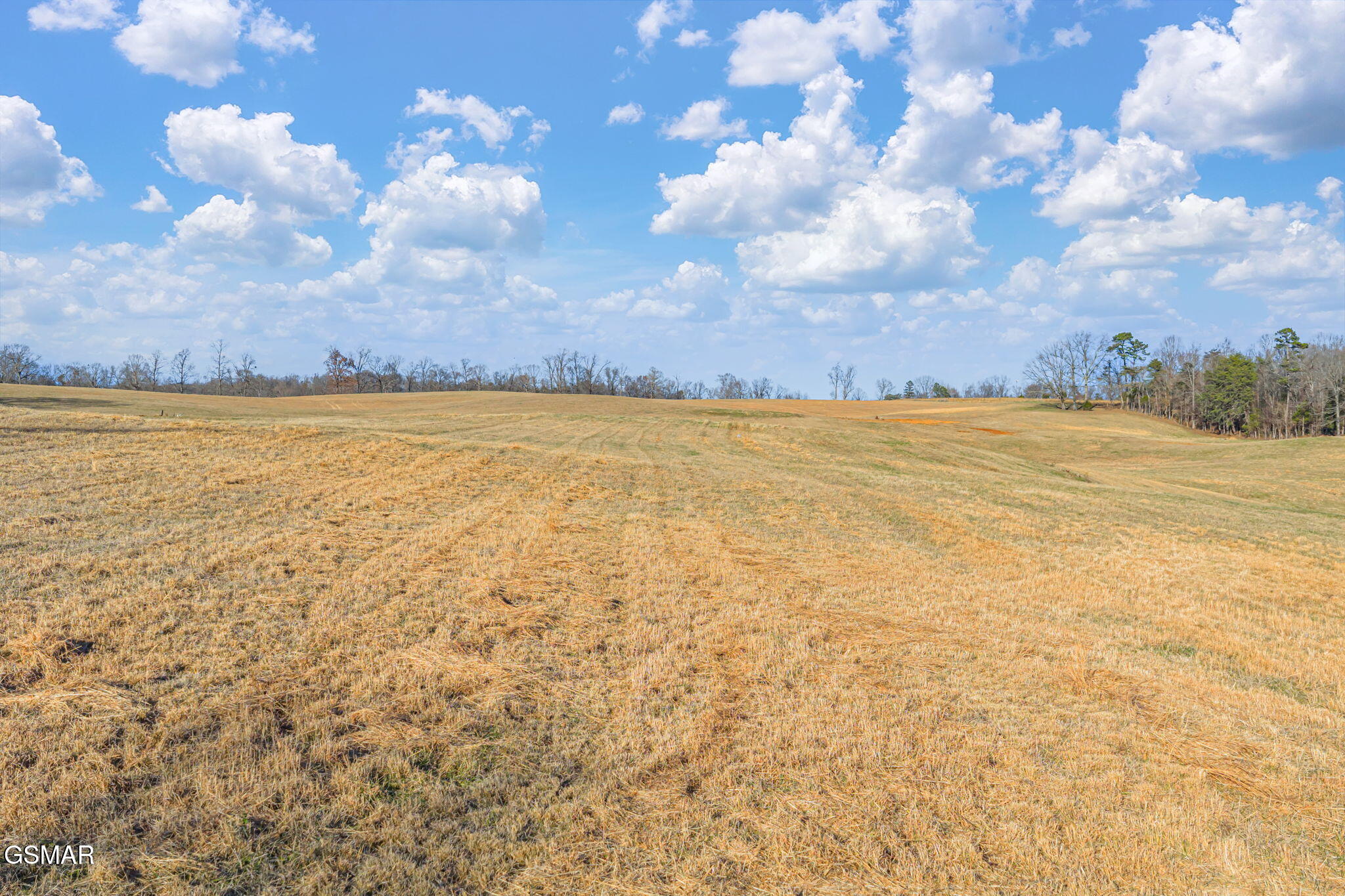 Strawberry Plains, Tennessee, 37871, United States, 3 Bedrooms Bedrooms, ,2 BathroomsBathrooms,Residential,Active,2007149