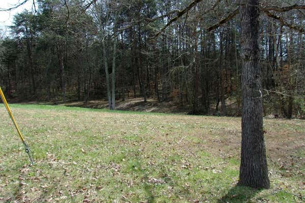 TRACT 7 LONESOME PINE ROAD, BYBEE, TN 37714 - Image 1