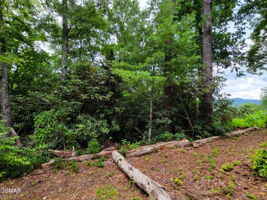 LOT #54 RIVERSONG RIDGE WAY, SEVIERVILLE, TN 37876 - Image 1