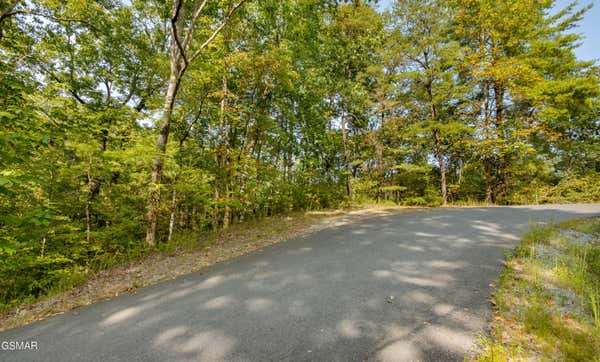 LOT 20 SUGAR MAPLE LOOP, SEVIERVILLE, TN 37862 - Image 1