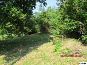 LOT 1 SADDLE WAY, SEVIERVILLE, TN 37876, photo 3 of 8