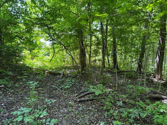 6.8 ACRES FRIENDSHIP SOUTH ROAD, GREENEVILLE, TN 37616, photo 4 of 16