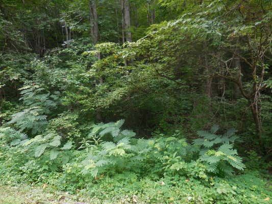 LOT 1 HIDDEN VALLEY, GATLINBURG, TN 37738, photo 2 of 4