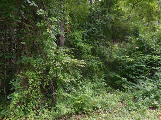 LOT 1 HIDDEN VALLEY, GATLINBURG, TN 37738, photo 4 of 4