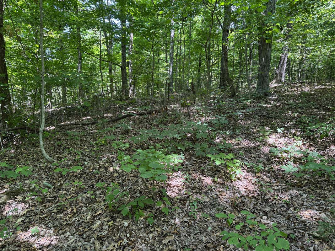 6.8 ACRES FRIENDSHIP SOUTH ROAD, GREENEVILLE, TN 37616, photo 1 of 16