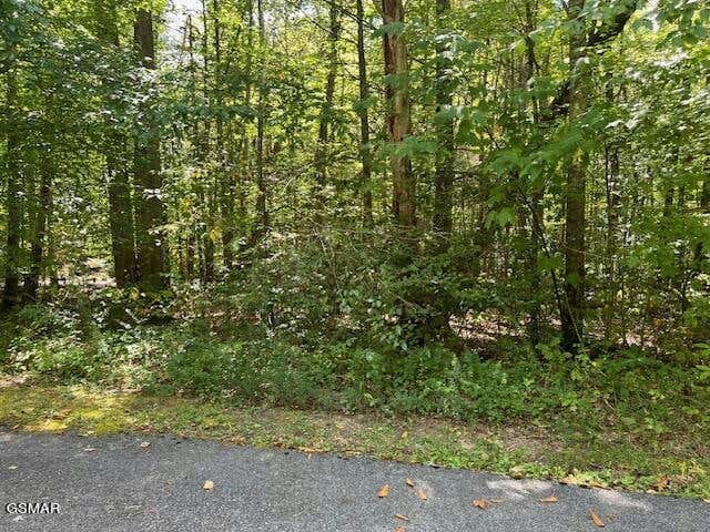 LOT 5/6 ARDELL WAY, COSBY, TN 37722, photo 1 of 10