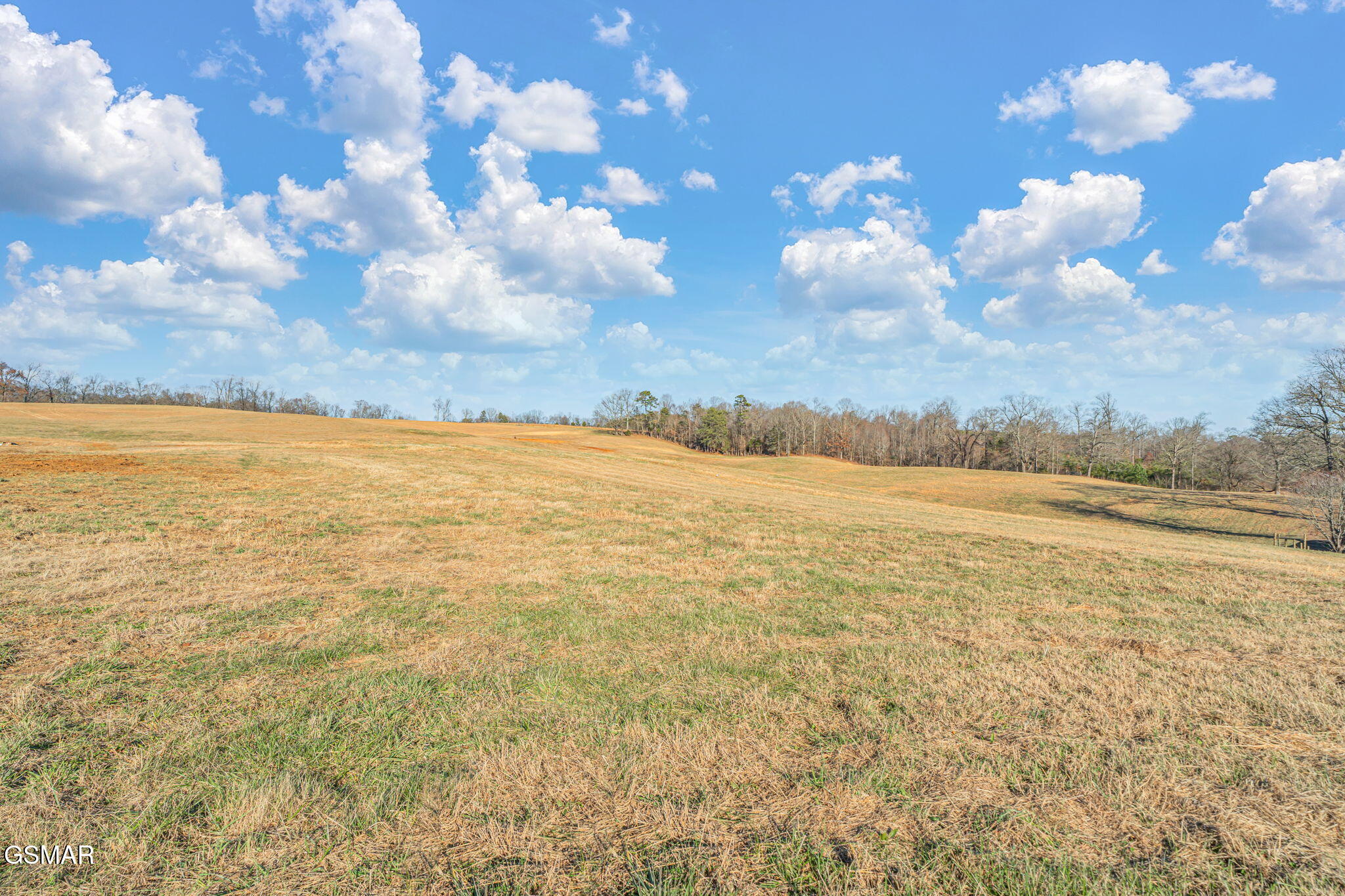 Strawberry Plains, Tennessee, 37871, United States, 3 Bedrooms Bedrooms, ,2 BathroomsBathrooms,Residential,Active,2007149