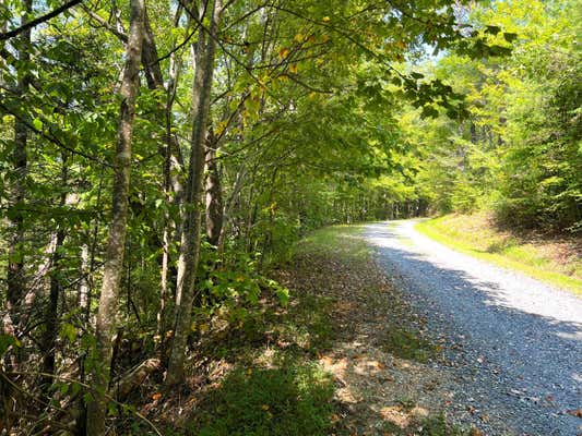 TRACT 8 FAITH MOUNTAIN WAY, HARTFORD, TN 37753 - Image 1