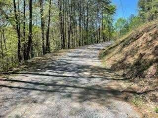 LOT 18 CASTLE RISE WAY, SEVIERVILLE, TN 37862 - Image 1