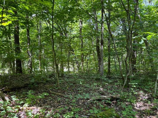 6.8 ACRES FRIENDSHIP SOUTH ROAD, GREENEVILLE, TN 37616, photo 3 of 16