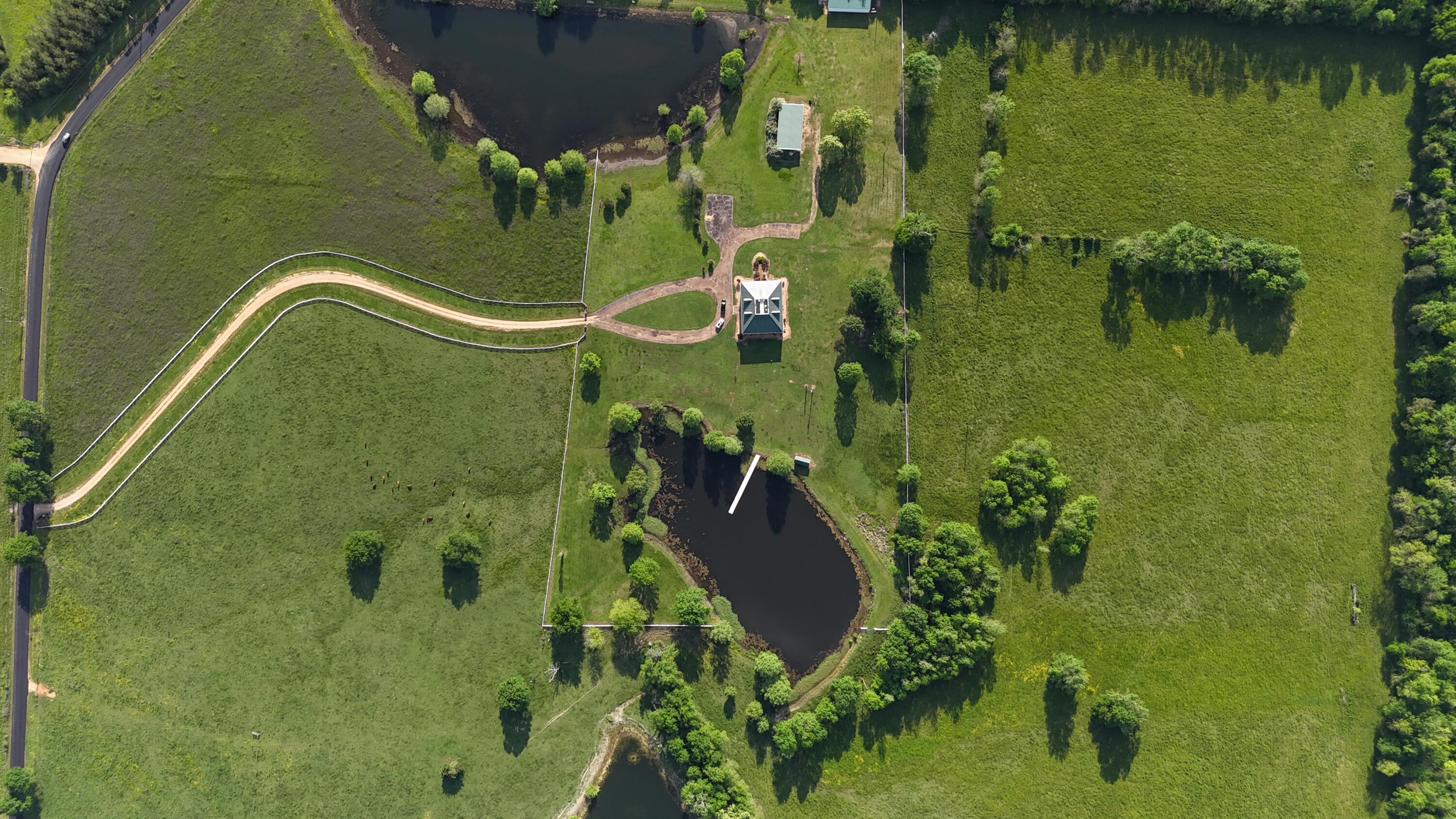 Columbus, Mississippi, 39701, United States, 6 Bedrooms Bedrooms, ,4 BathroomsBathrooms,Residential,Active,1953709