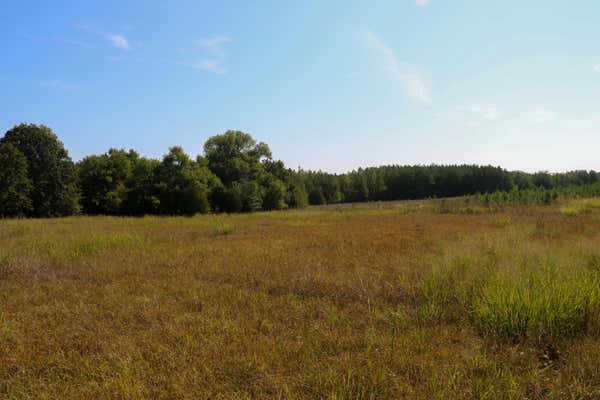 00 HIGHWAY 41, OKOLONA, MS 38652 - Image 1