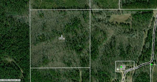 POGUE RD, EUPORA, MS 39744 - Image 1