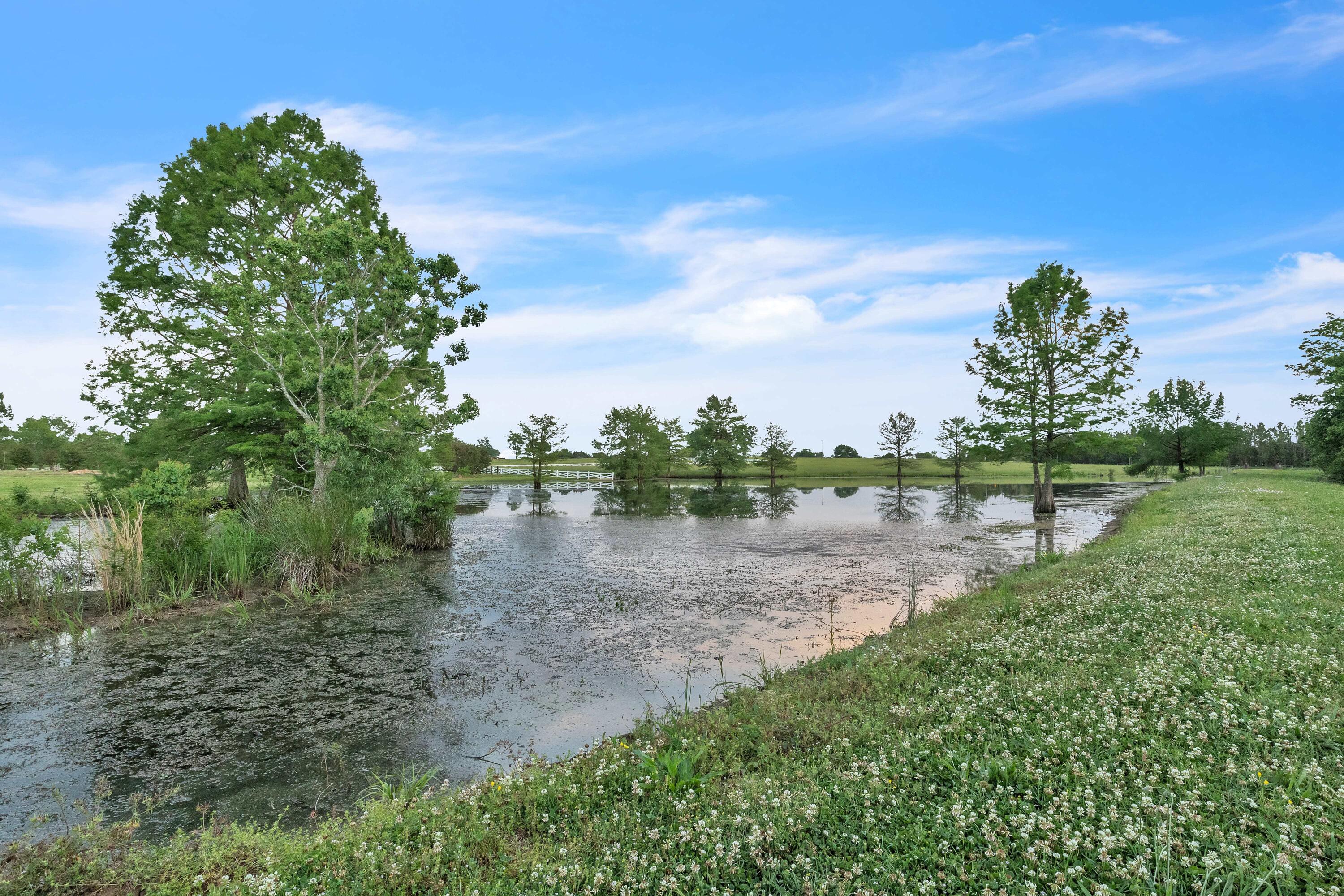 Columbus, Mississippi, 39701, United States, 6 Bedrooms Bedrooms, ,4 BathroomsBathrooms,Residential,Active,1953709