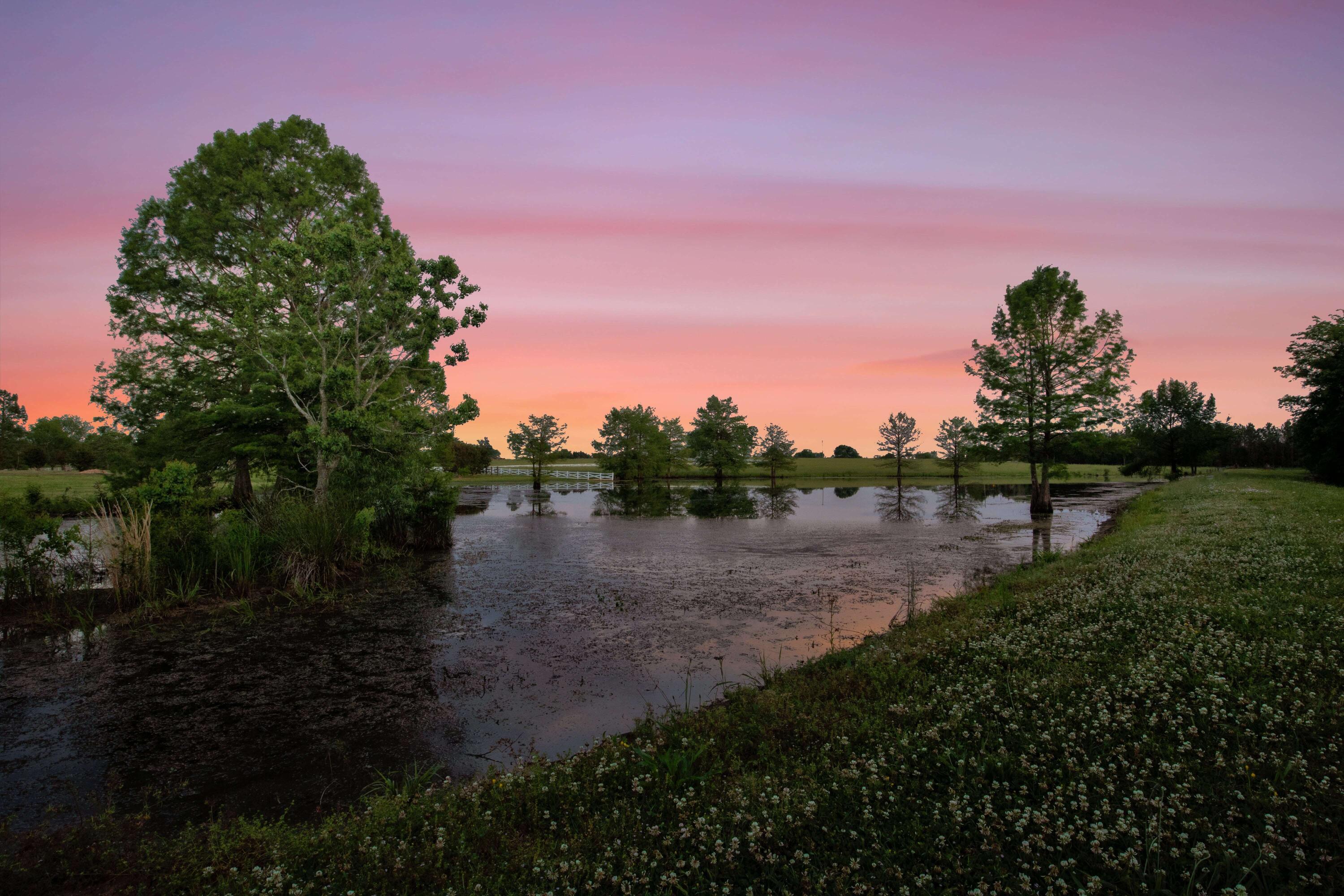 Columbus, Mississippi, 39701, United States, 6 Bedrooms Bedrooms, ,4 BathroomsBathrooms,Residential,Active,1953709