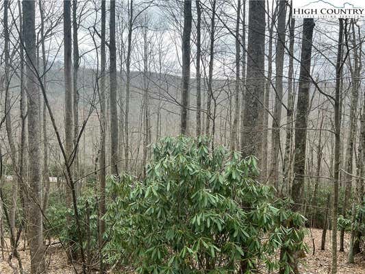 LOT 82 BUCKEYE CREEK ROAD, BEECH MOUNTAIN, NC 28604, photo 2 of 8