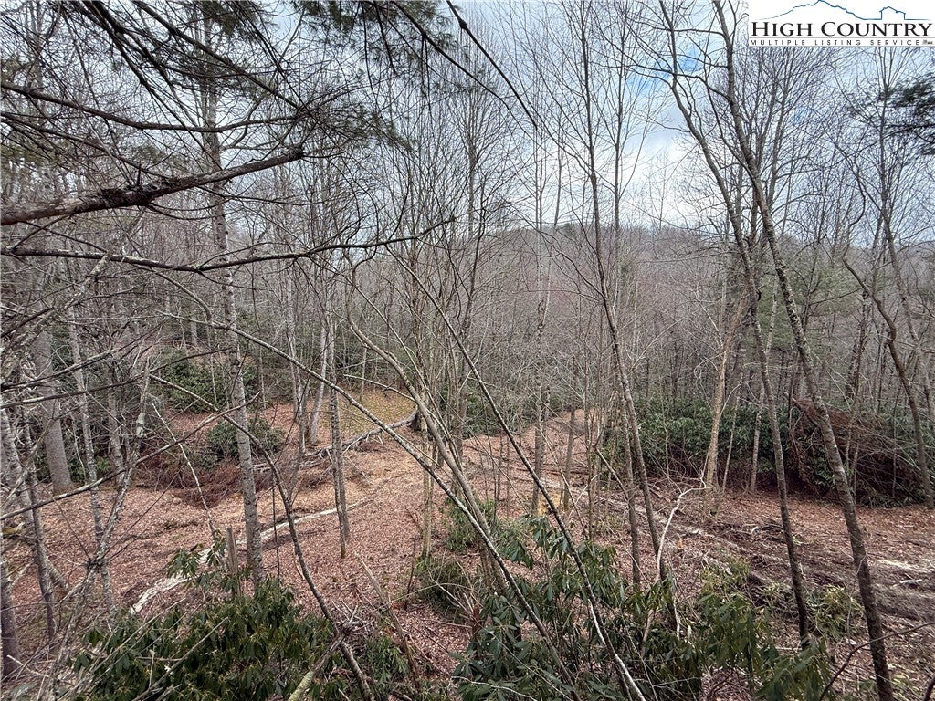 Boone, North Carolina, 28607, United States, 4 Bedrooms Bedrooms, ,5 BathroomsBathrooms,Residential,Active,1985858