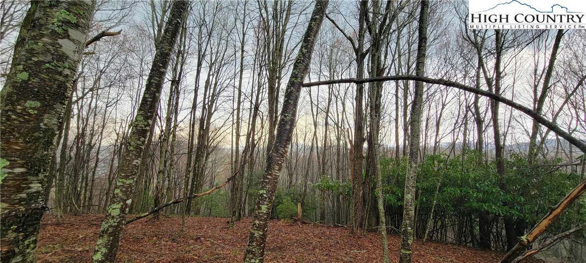 LOT 2 FAIRVIEW CHURCH ROAD, LANSING, NC 28643, photo 1 of 15