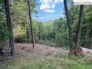 13 WILDERNESS RESERVE PARKWAY, DEEP GAP, NC 28618 - Image 1