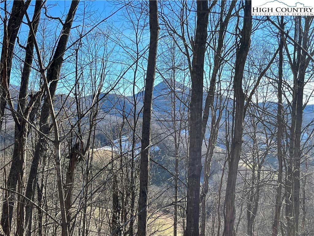 LOT 33 PARADISE VALLEY CIRCLE, CRESTON, NC 28615, photo 1 of 17