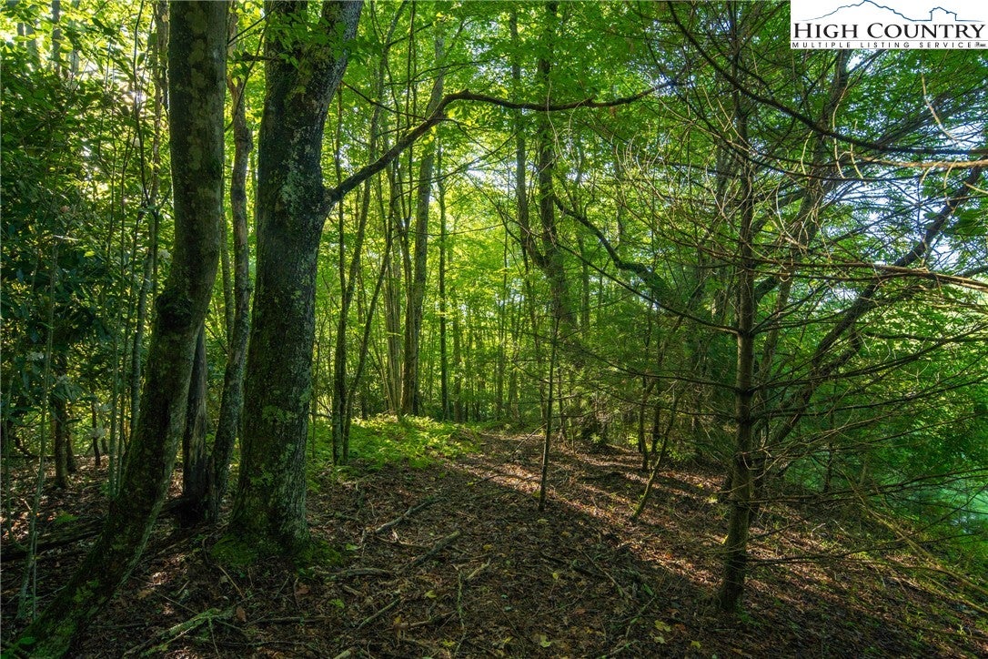 Boone, North Carolina, 28607, United States, 4 Bedrooms Bedrooms, ,5 BathroomsBathrooms,Residential,Active,1985858