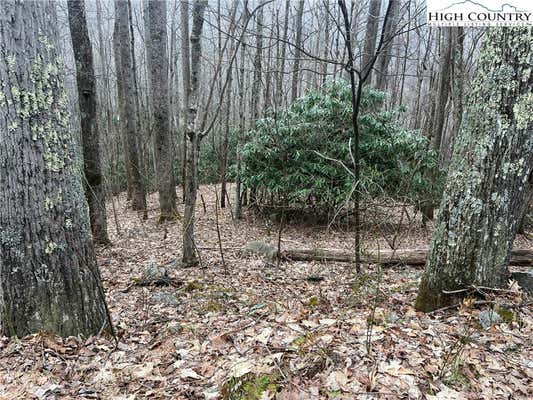 LOT 82 BUCKEYE CREEK ROAD, BEECH MOUNTAIN, NC 28604, photo 3 of 8