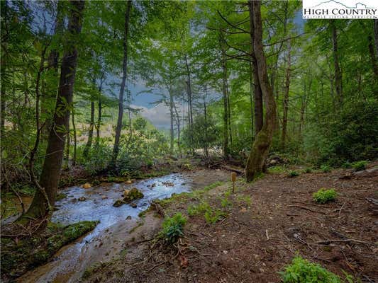 LOT 2 WILDERNESS RESERVE PARKWAY, DEEP GAP, NC 28618 - Image 1