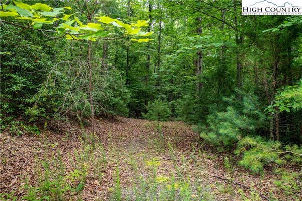 LOT# 11 BRIDLE RIDGE WAY, LENOIR, NC 28645 - Image 1