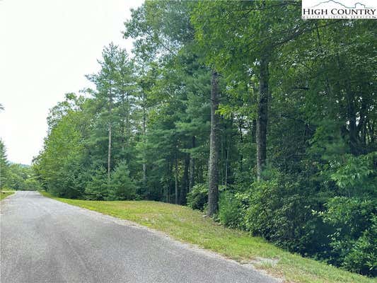 LOT 48E CASCADE RUN, PURLEAR, NC 28665 - Image 1