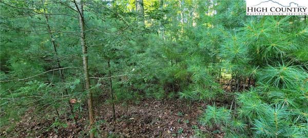 LOT 8 OAK TREE LANE, JEFFERSON, NC 28640, photo 4 of 7