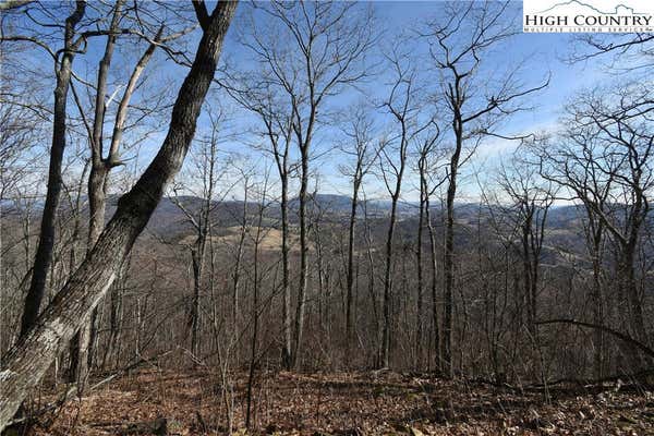 TBD BIG TREE ROAD, WEST JEFFERSON, NC 28694, photo 5 of 7