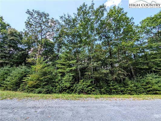 LOT 29 WALDEN LANE, WEST JEFFERSON, NC 28694, photo 4 of 5