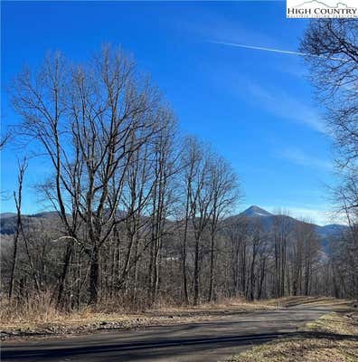 LOT 33 PARADISE VALLEY CIRCLE, CRESTON, NC 28615, photo 2 of 17