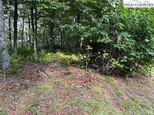 LOT 3 FIELDSTONE HTS DRIVE, BLOWING ROCK, NC 28605, photo 2 of 27