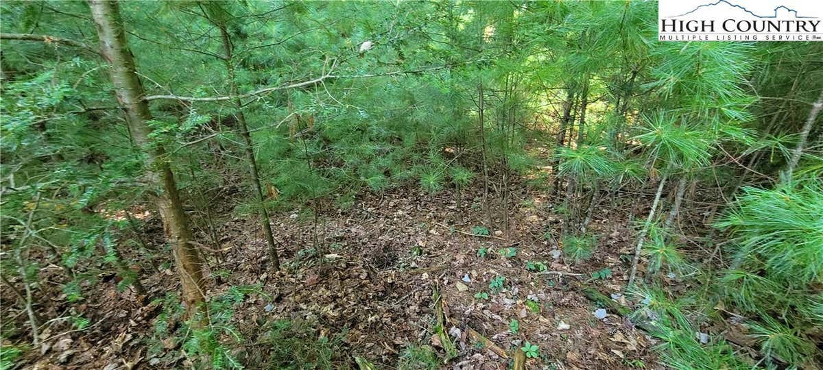 LOT 8 OAK TREE LANE, JEFFERSON, NC 28640, photo 1 of 7