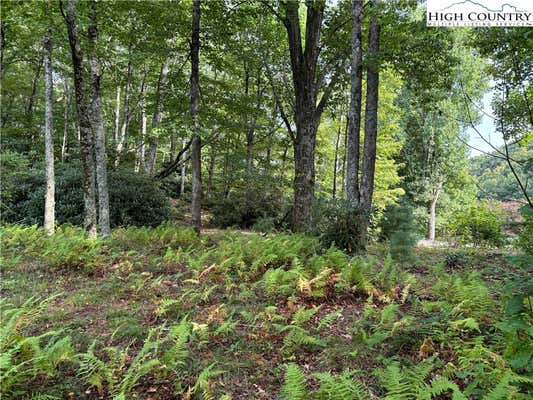 LOT 4 FIELDSTONE HTS DRIVE, BLOWING ROCK, NC 28605, photo 4 of 32