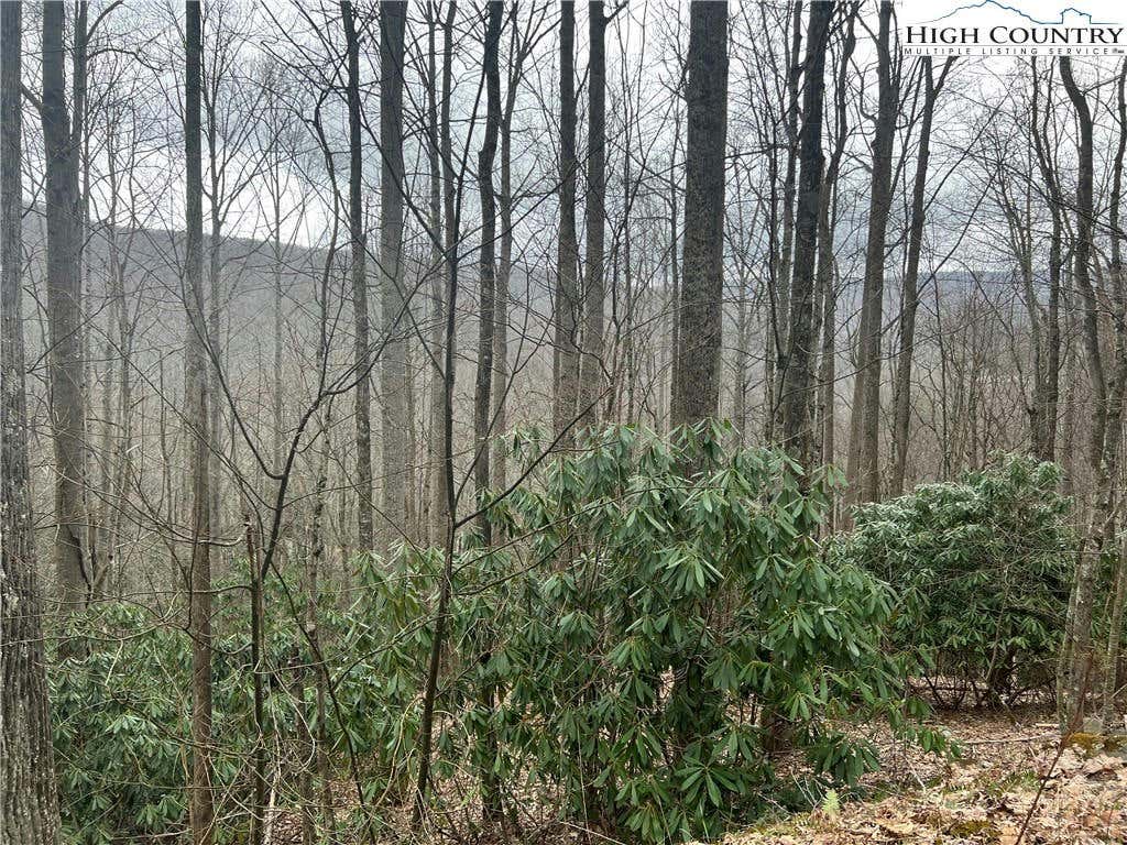 LOT 82 BUCKEYE CREEK ROAD, BEECH MOUNTAIN, NC 28604, photo 1 of 8