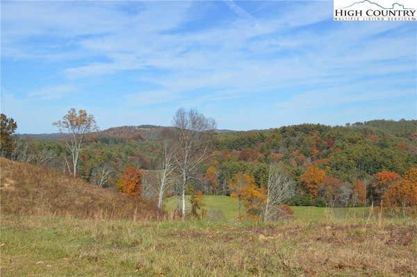 LOT #14 TURTLE RIDGE ROAD, SPARTA, NC 28675, photo 5 of 12