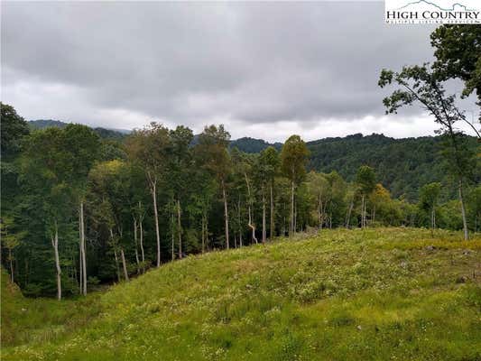 TBD N HIDDEN MOUNTAIN LANE, CRUMPLER, NC 28617, photo 3 of 6