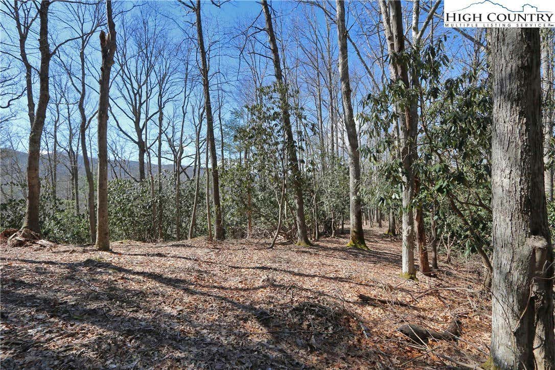 LOTS 47 & 48 ABACO DRIVE, VILAS, NC 28692, photo 1 of 36